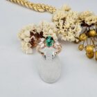 IMG 0781